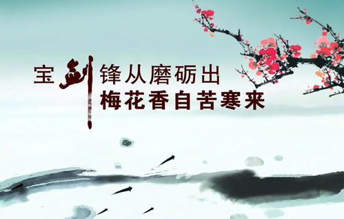 (行炁之法)探究炁术行者的修炼方法与成就，了解其对身心健康的实际影响
