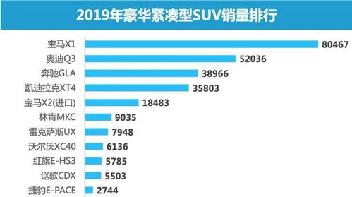 新奥门特免费资料查询139期|综合数据解释落实_未来版SSIP.4.879 新奥门特免费资料查询139期|综合数据解释落实_未来版SSIP.4.879