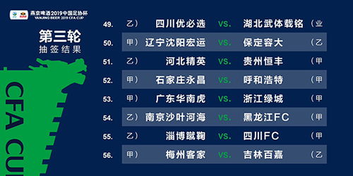 2024年澳门精准免费资料|专家解析解释落实_自由版.3.31